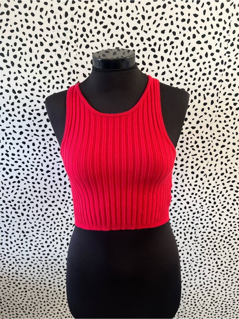 silence + noise Bright Red Ribbed Crop Tank